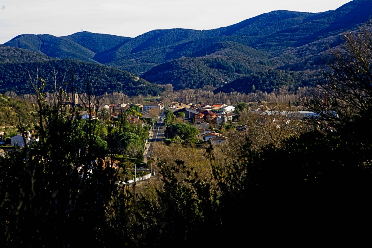 Series of images taken by Steve Cushing on an 1962-A-Schacht-Ulm-Edixa-Mat-Travenar-90mm-f2.8  and mirrorless camera using old lens and homemade adapter. 
