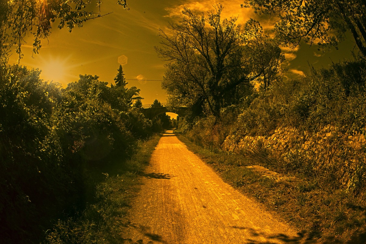 Series of images taken by Steve Cushing on anAsahi Takumar 17 f4 Fish Eye and mirrorless camera using old lens and homemade adapter. 