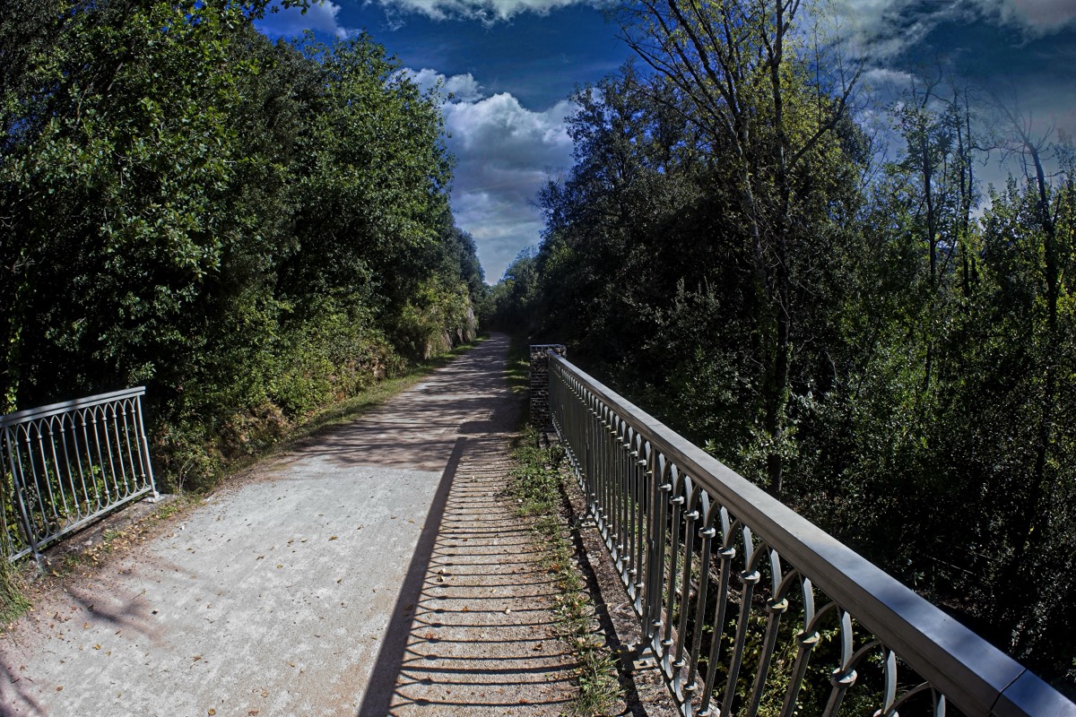 Series of images taken by Steve Cushing on anAsahi Takumar 17 f4 Fish Eye and mirrorless camera using old lens and homemade adapter. 