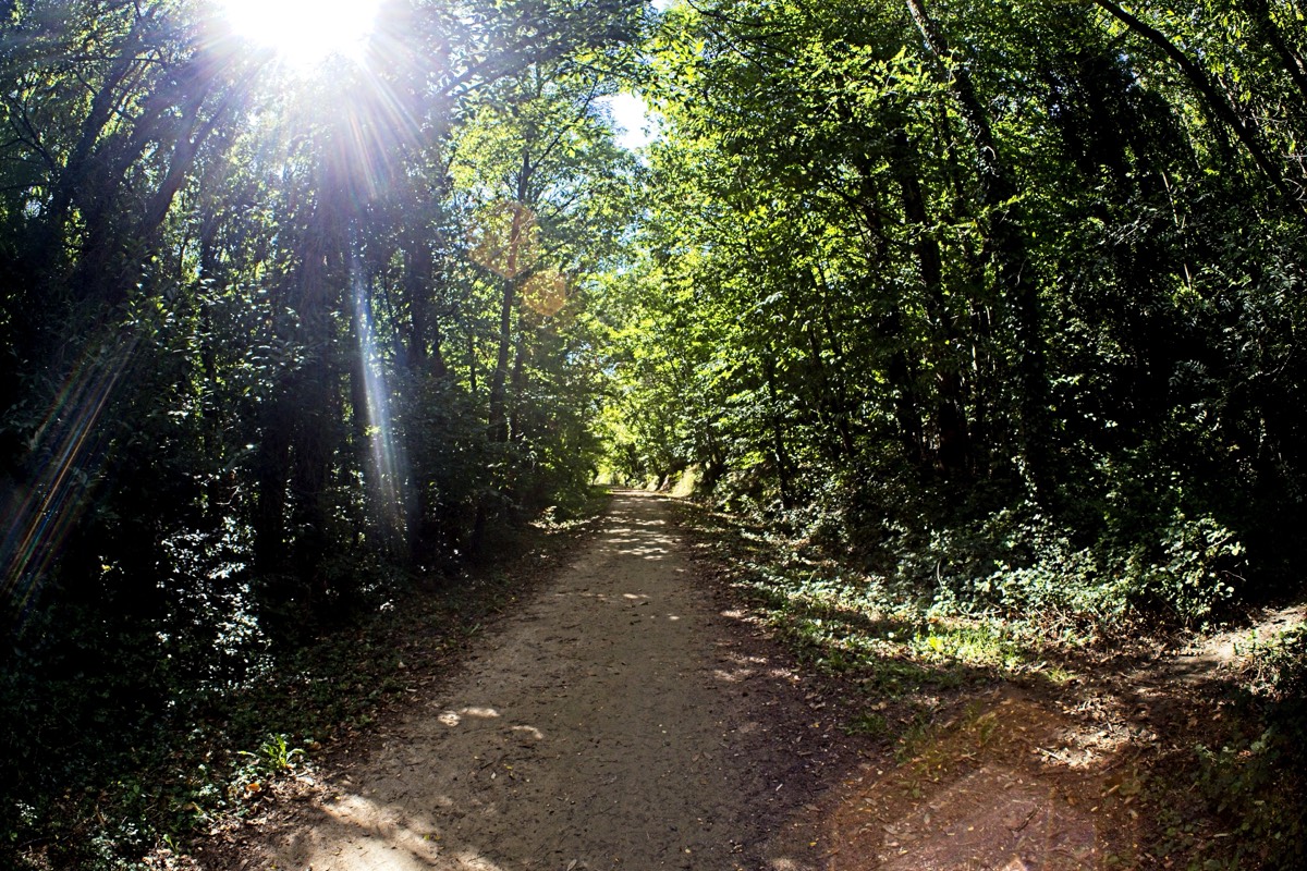 Series of images taken by Steve Cushing on anAsahi Takumar 17 f4 Fish Eye and mirrorless camera using old lens and homemade adapter. 