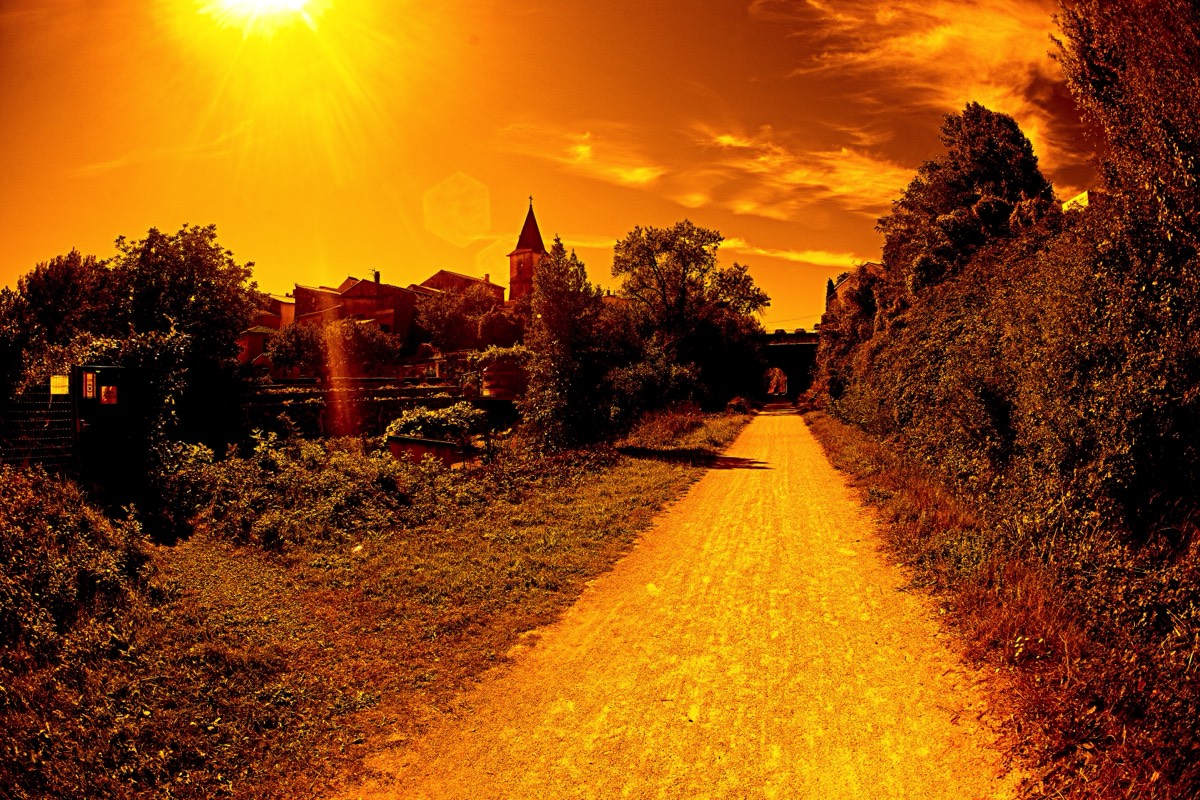 Series of images taken by Steve Cushing on anAsahi Takumar 17 f4 Fish Eye and mirrorless camera using old lens and homemade adapter. 