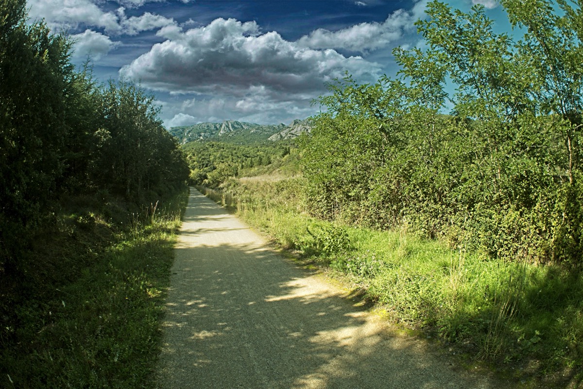 Series of images taken by Steve Cushing on anAsahi Takumar 17 f4 Fish Eye and mirrorless camera using old lens and homemade adapter. 