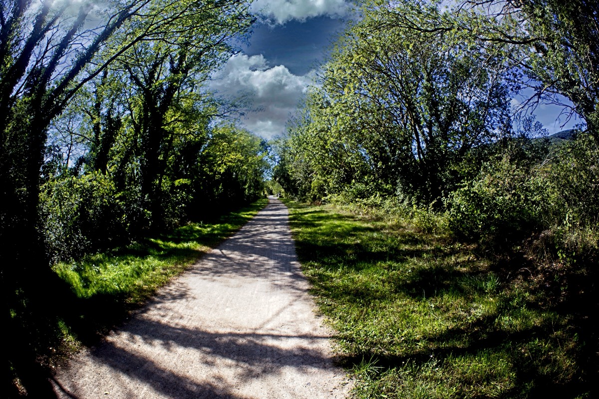 Series of images taken by Steve Cushing on anAsahi Takumar 17 f4 Fish Eye and mirrorless camera using old lens and homemade adapter. 