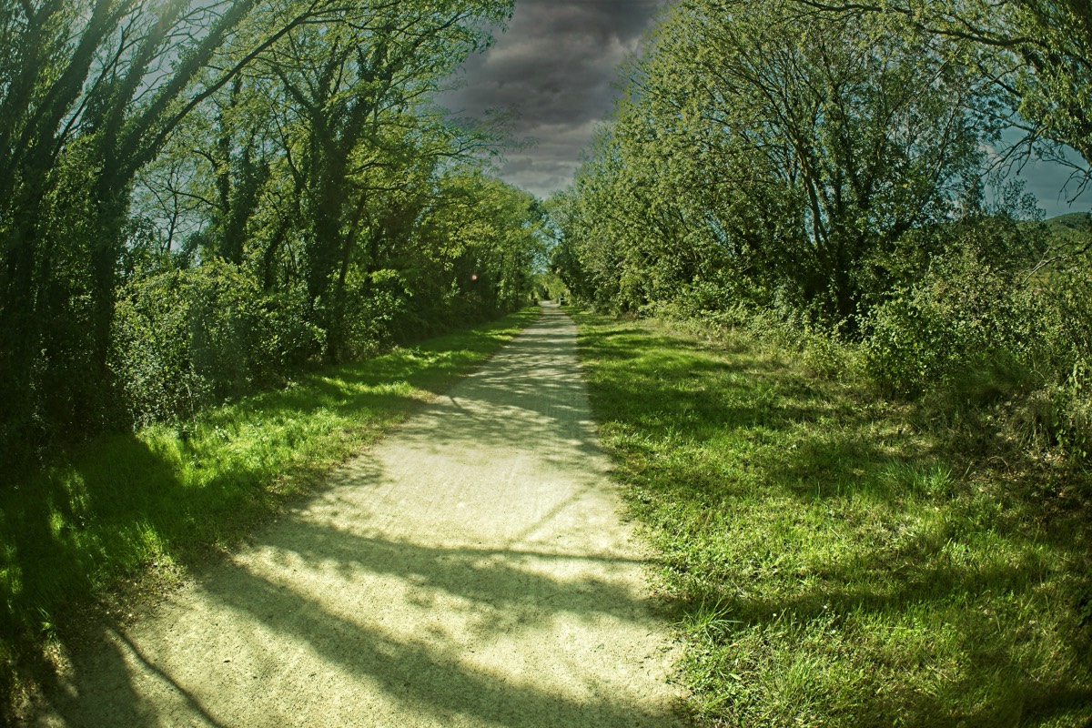 Series of images taken by Steve Cushing on anAsahi Takumar 17 f4 Fish Eye and mirrorless camera using old lens and homemade adapter. 