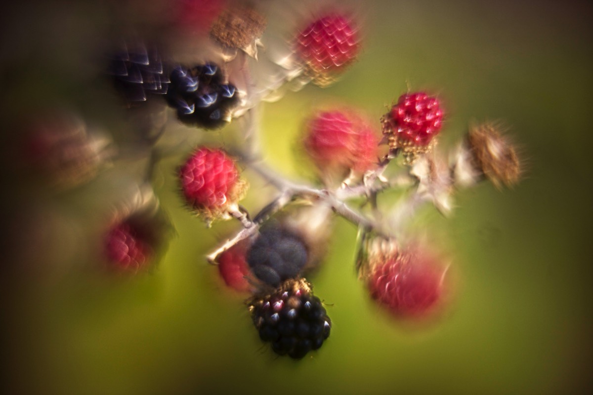 Series of images taken by Steve Cushing on Carl Zeiss Jena R-Biotar 50 f0.7 and mirrorless camera using old lens and homemade adapter. 