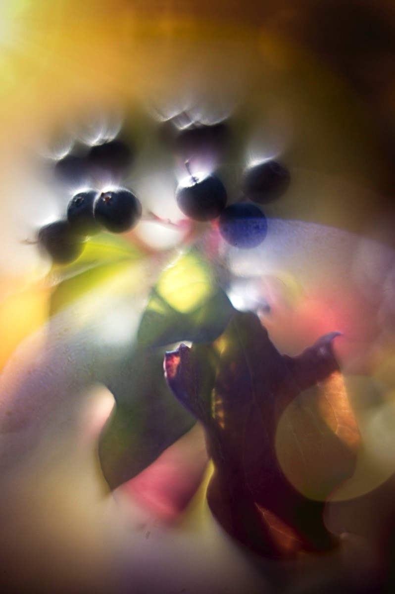 Series of images taken by Steve Cushing on Carl Zeiss Jena R-Biotar 50 f0.7 and mirrorless camera using old lens and homemade adapter. 