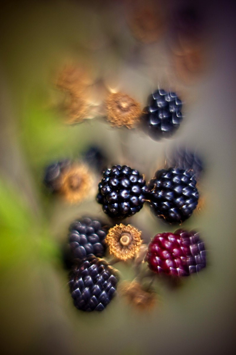 Series of images taken by Steve Cushing on Carl Zeiss Jena R-Biotar 50 f0.7 and mirrorless camera using old lens and homemade adapter. 