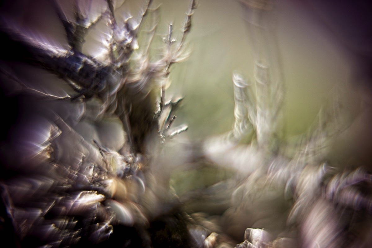 Series of images taken by Steve Cushing on Carl Zeiss Jena R-Biotar 50 f0.7 and mirrorless camera using old lens and homemade adapter. 