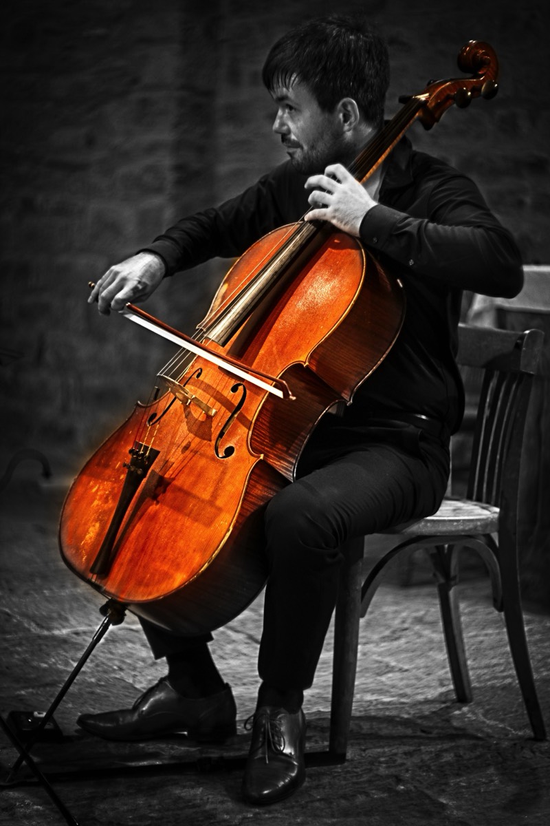 Series of images taken by Steve Cushing on Carl Zeiss Jena Biotar 75 mm f1.5 and mirrorless camera using old lens and homemade adapter. 