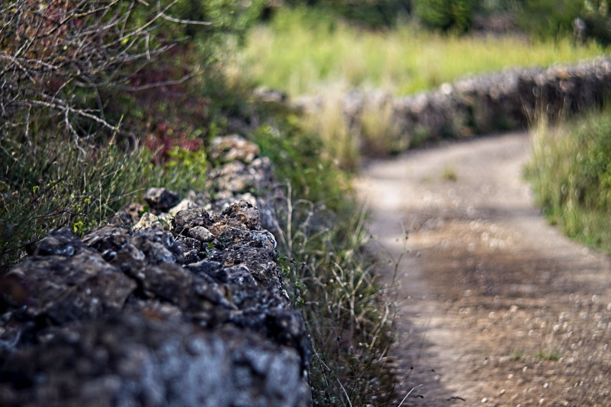 Ernemann Ernostar 100mm f2 by Steve Cushing on a Canon R camera.