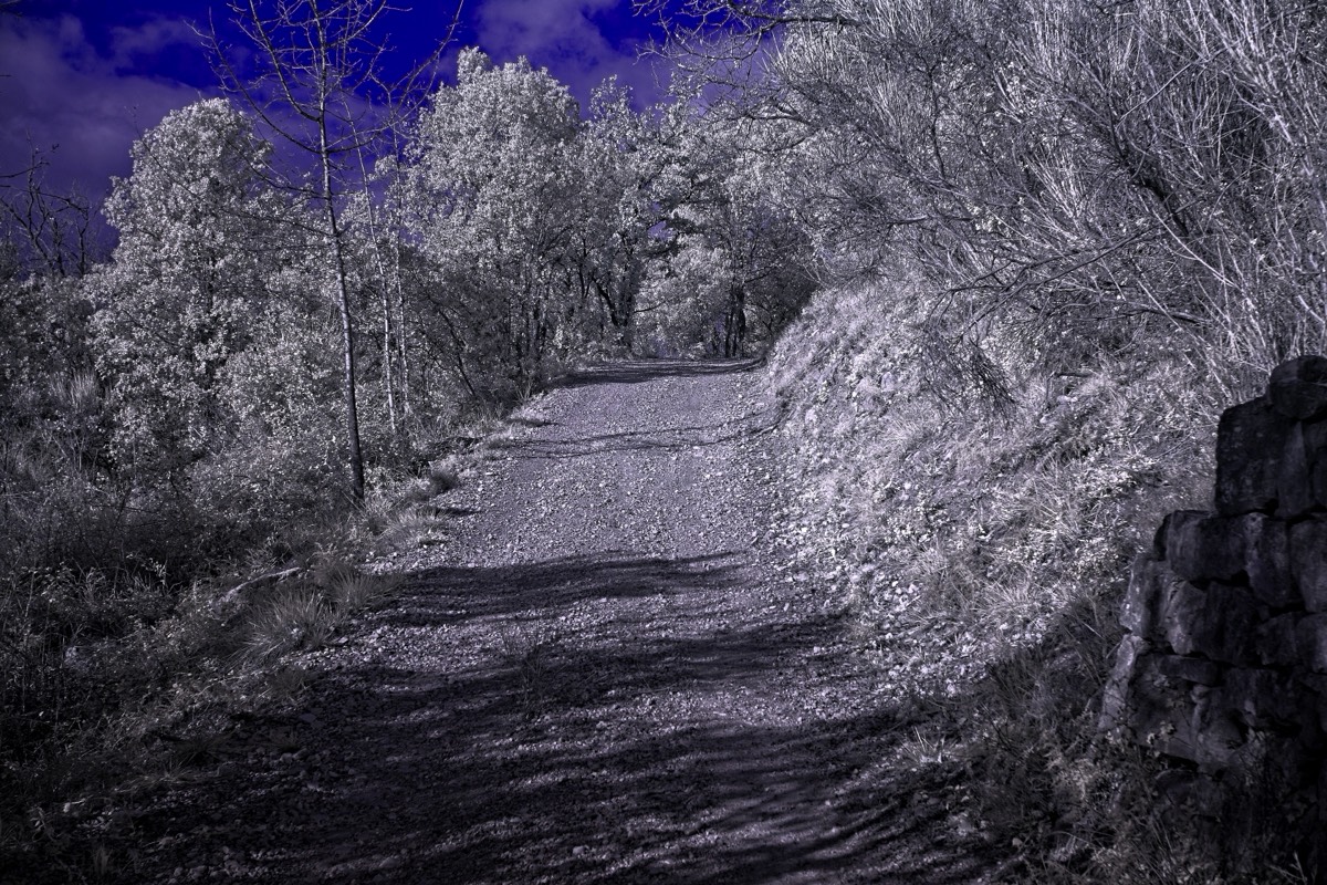 Stacks Image 141
