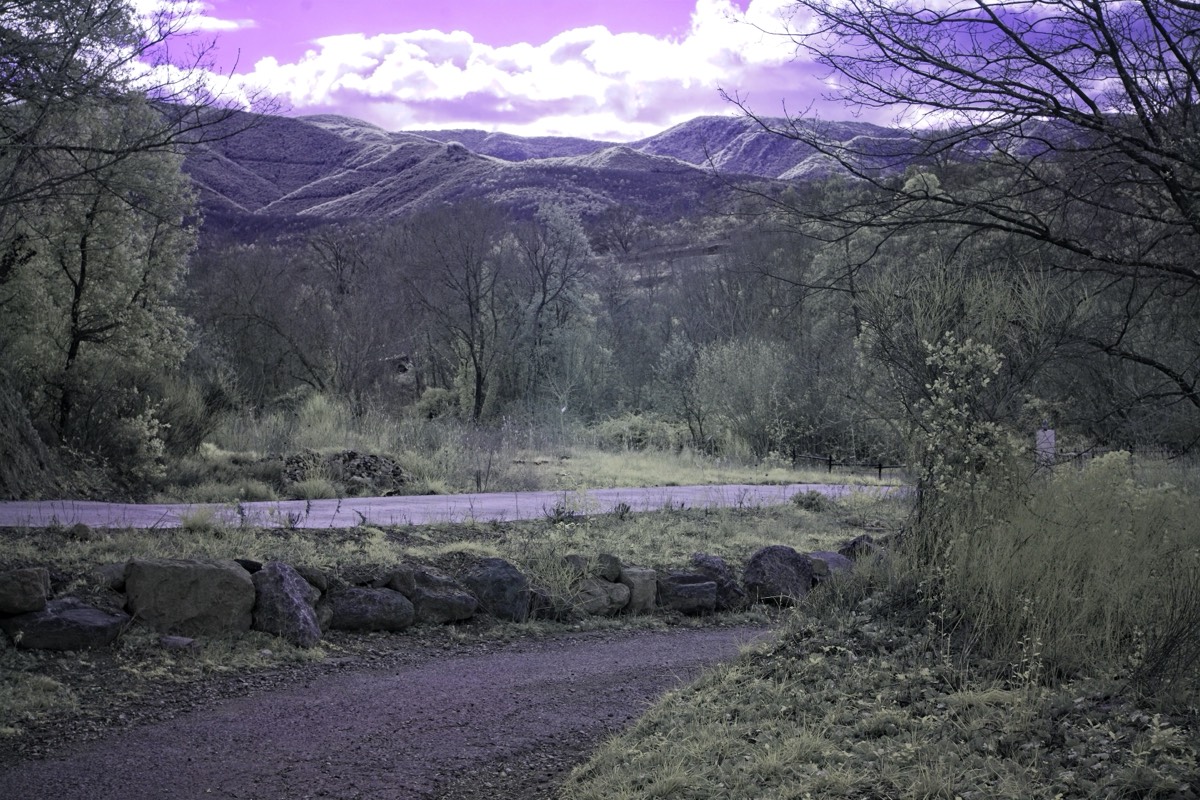 Stacks Image 133