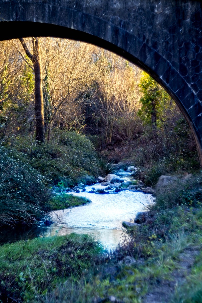 Series of images taken by Steve Cushing on Meyer-Optik Görlitz Diaplan 80mm f2.8 and mirrorless camera using old lens and homemade adapter. 