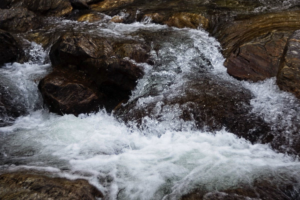 Series of images taken by Steve Cushing on Meyer-Optik Görlitz Diaplan 80mm f2.8 and mirrorless camera using old lens and homemade adapter. 
