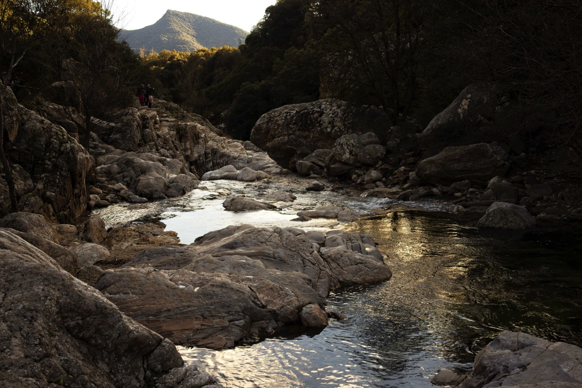 Series of images taken by Steve Cushing on Meyer-Optik Görlitz Diaplan 80mm f2.8 and mirrorless camera using old lens and homemade adapter. 