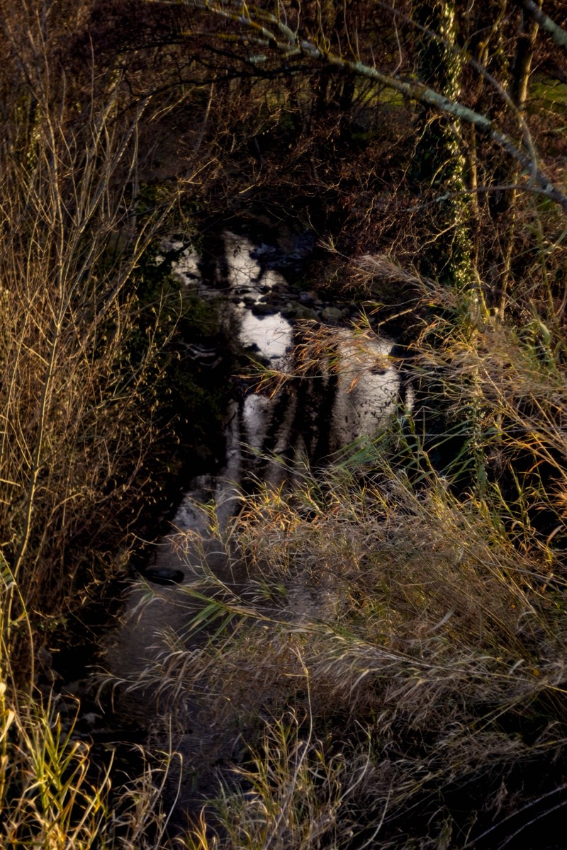 Series of images taken by Steve Cushing on Meyer-Optik Görlitz Diaplan 80mm f2.8 and mirrorless camera using old lens and homemade adapter. 