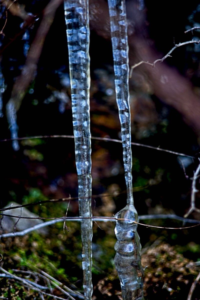 Series of images taken by Steve Cushing on Meyer-Optik Görlitz Diaplan 80mm f2.8 and mirrorless camera using old lens and homemade adapter. 