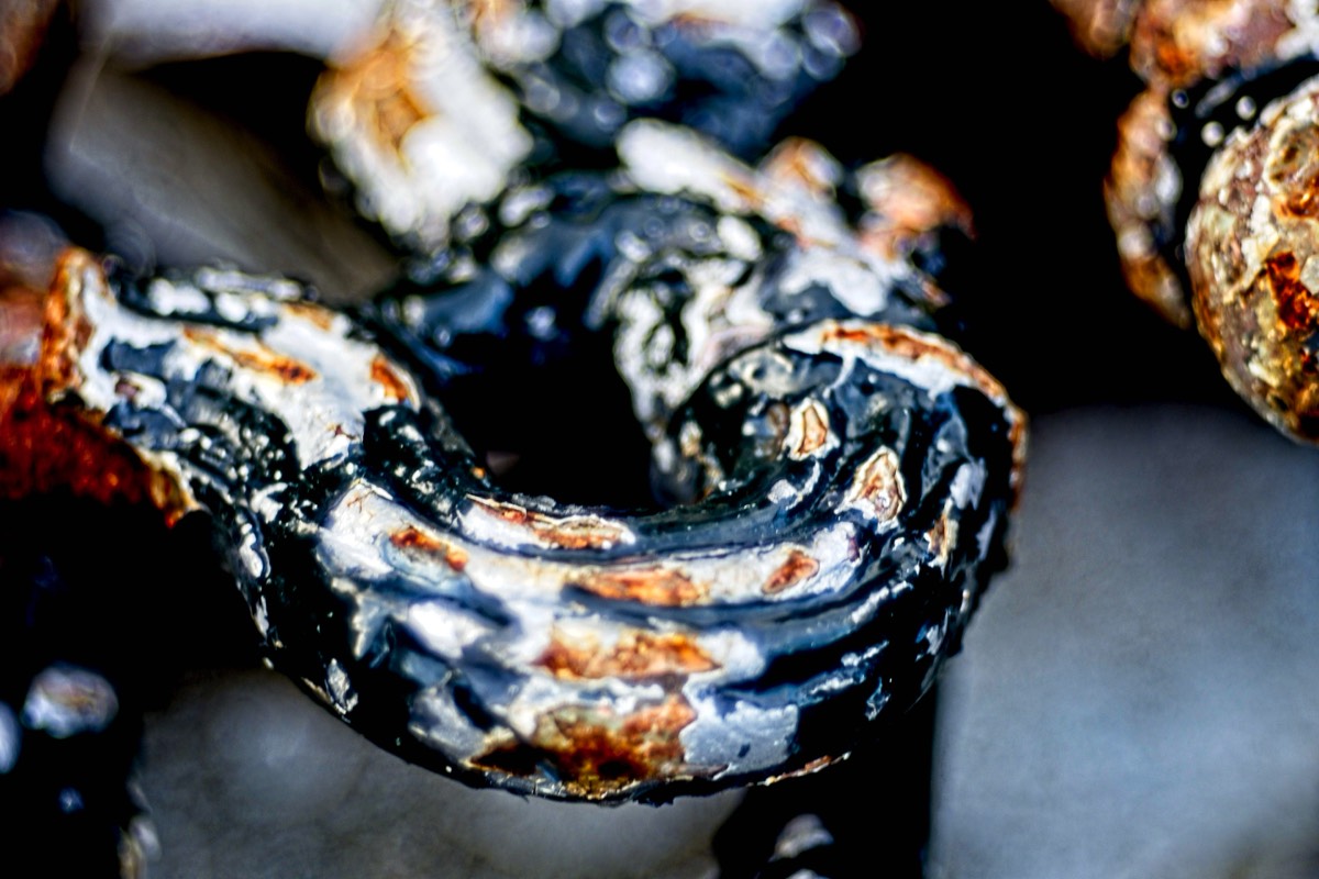 Series of images taken by Steve Cushing on Meyer-Optik Görlitz Diaplan 80mm f2.8 and mirrorless camera using old lens and homemade adapter. 