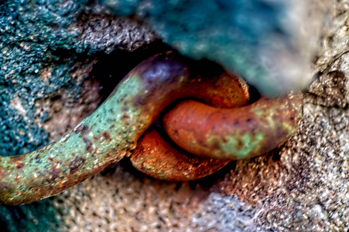 Series of images taken by Steve Cushing on Meyer-Optik Görlitz Diaplan 80mm f2.8 and mirrorless camera using old lens and homemade adapter. 