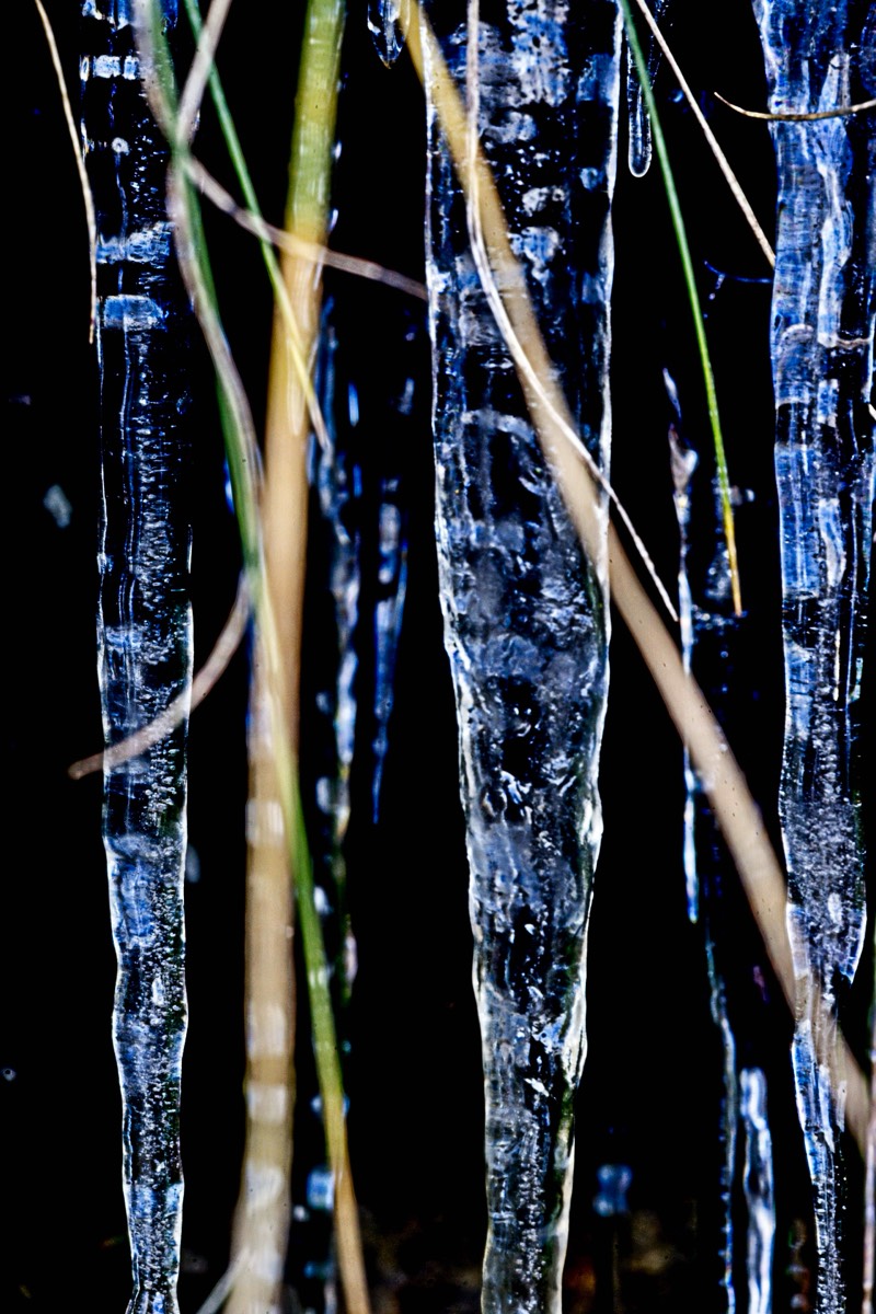 Series of images taken by Steve Cushing on Meyer-Optik Görlitz Diaplan 80mm f2.8 and mirrorless camera using old lens and homemade adapter. 