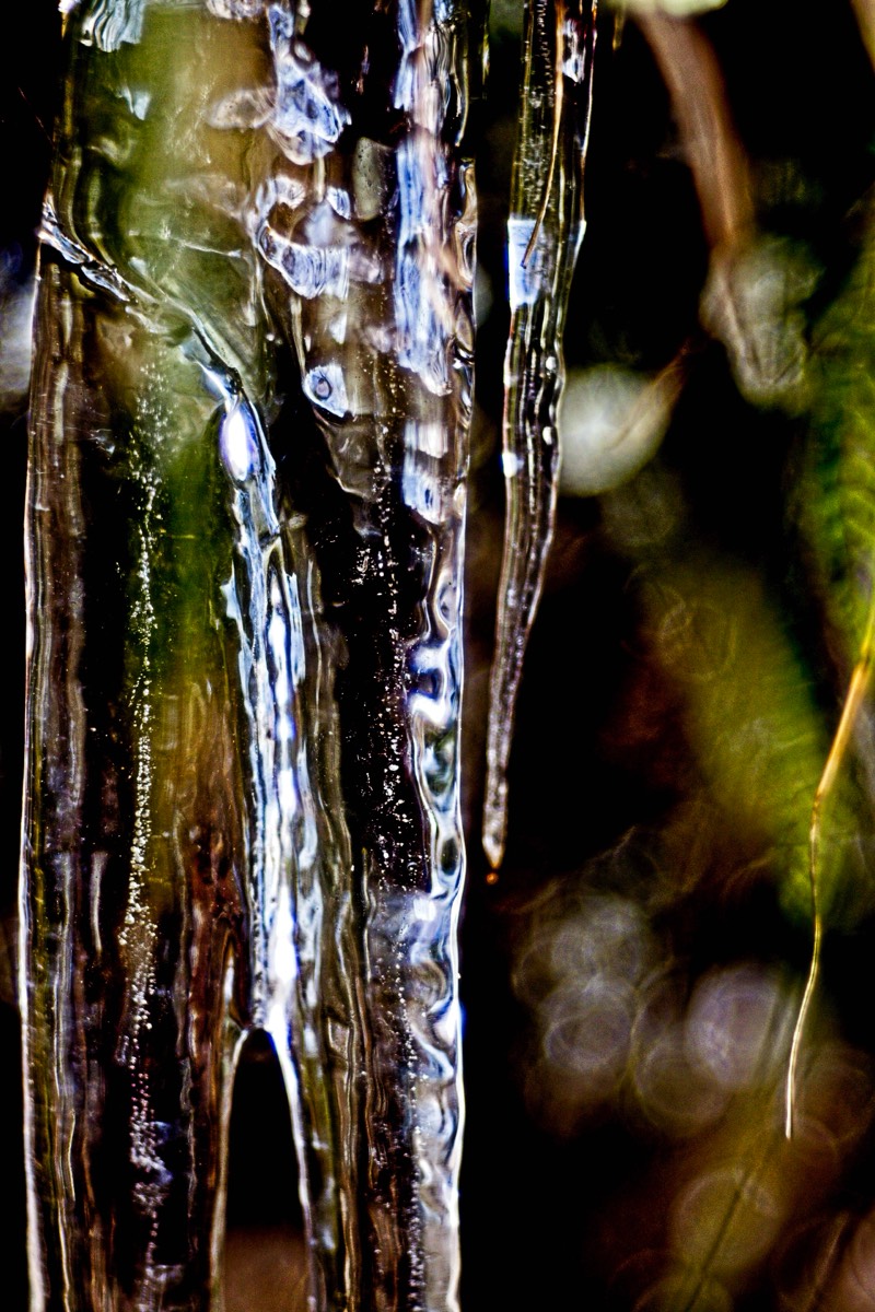 Series of images taken by Steve Cushing on Meyer-Optik Görlitz Diaplan 80mm f2.8 and mirrorless camera using old lens and homemade adapter. 