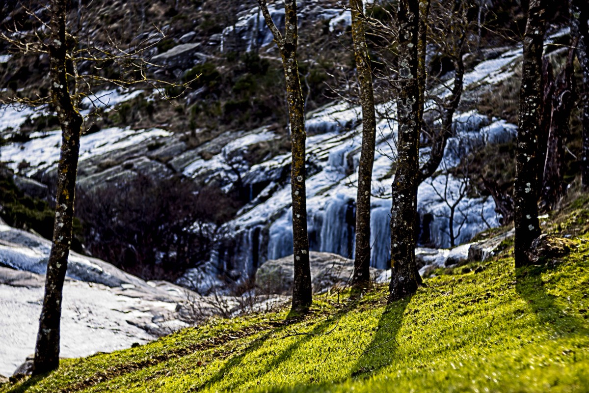 Series of images taken by Steve Cushing on Meyer-Optik Görlitz Diaplan 80mm f2.8 and mirrorless camera using old lens and homemade adapter. 