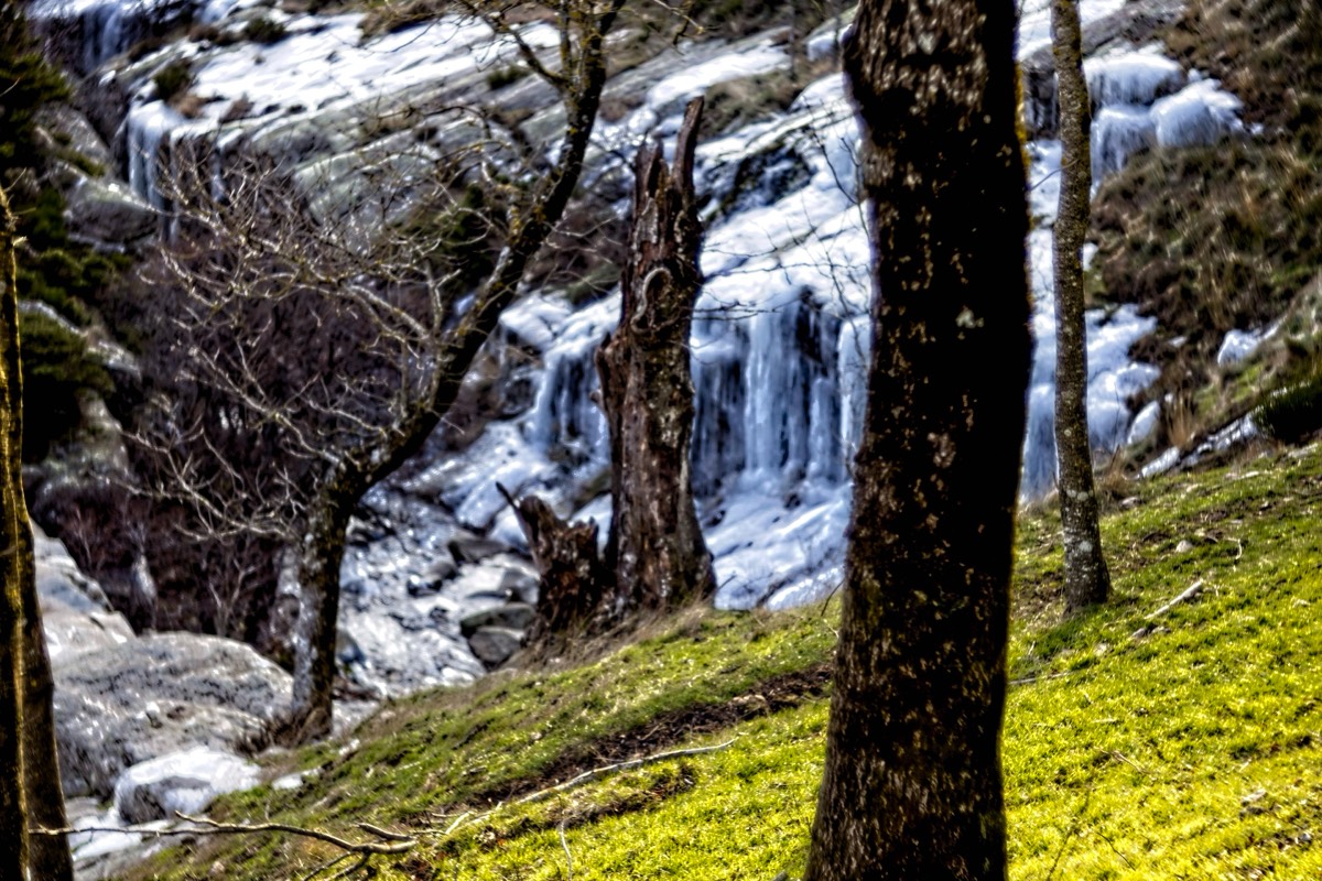 Series of images taken by Steve Cushing on Meyer-Optik Görlitz Diaplan 80mm f2.8 and mirrorless camera using old lens and homemade adapter. 