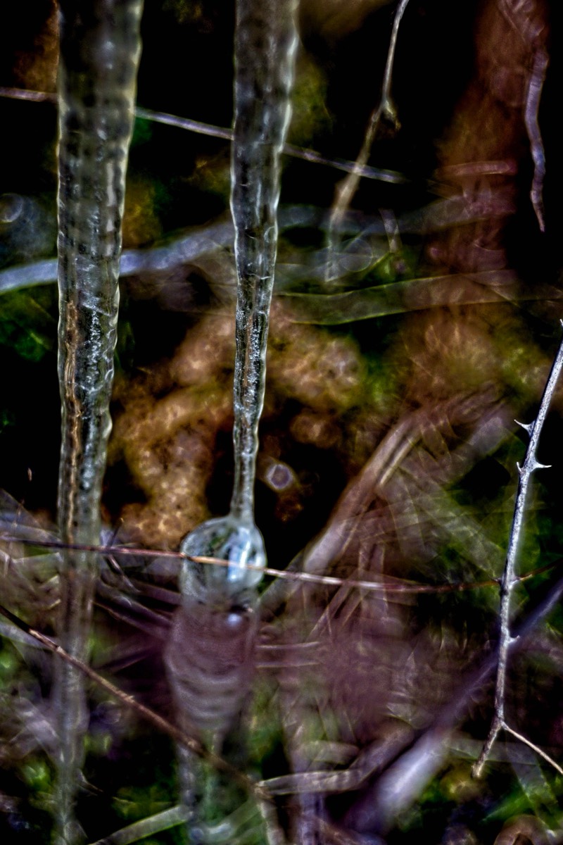 Series of images taken by Steve Cushing on Meyer-Optik Görlitz Diaplan 80mm f2.8 and mirrorless camera using old lens and homemade adapter. 