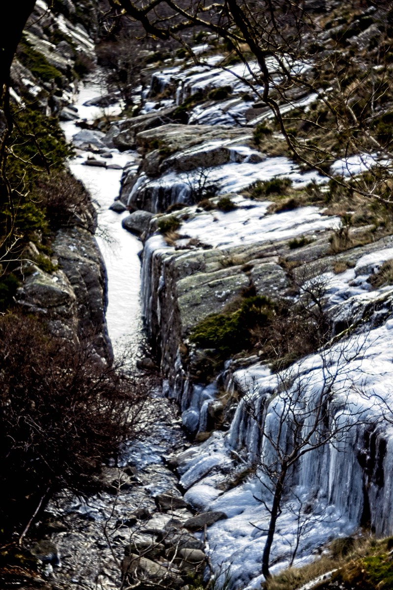 Series of images taken by Steve Cushing on Meyer-Optik Görlitz Diaplan 80mm f2.8 and mirrorless camera using old lens and homemade adapter. 