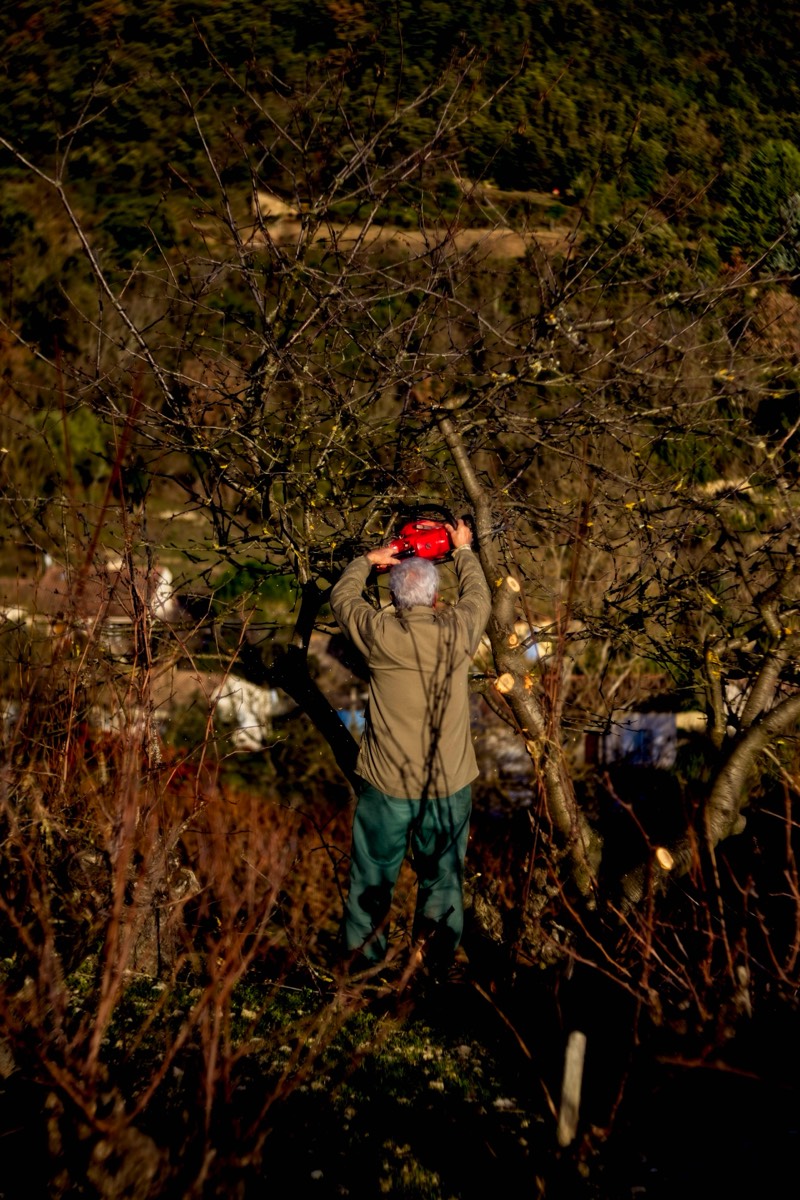 Series of images taken by Steve Cushing on Meyer-Optik Görlitz Diaplan 80mm f2.8 and mirrorless camera using old lens and homemade adapter. 