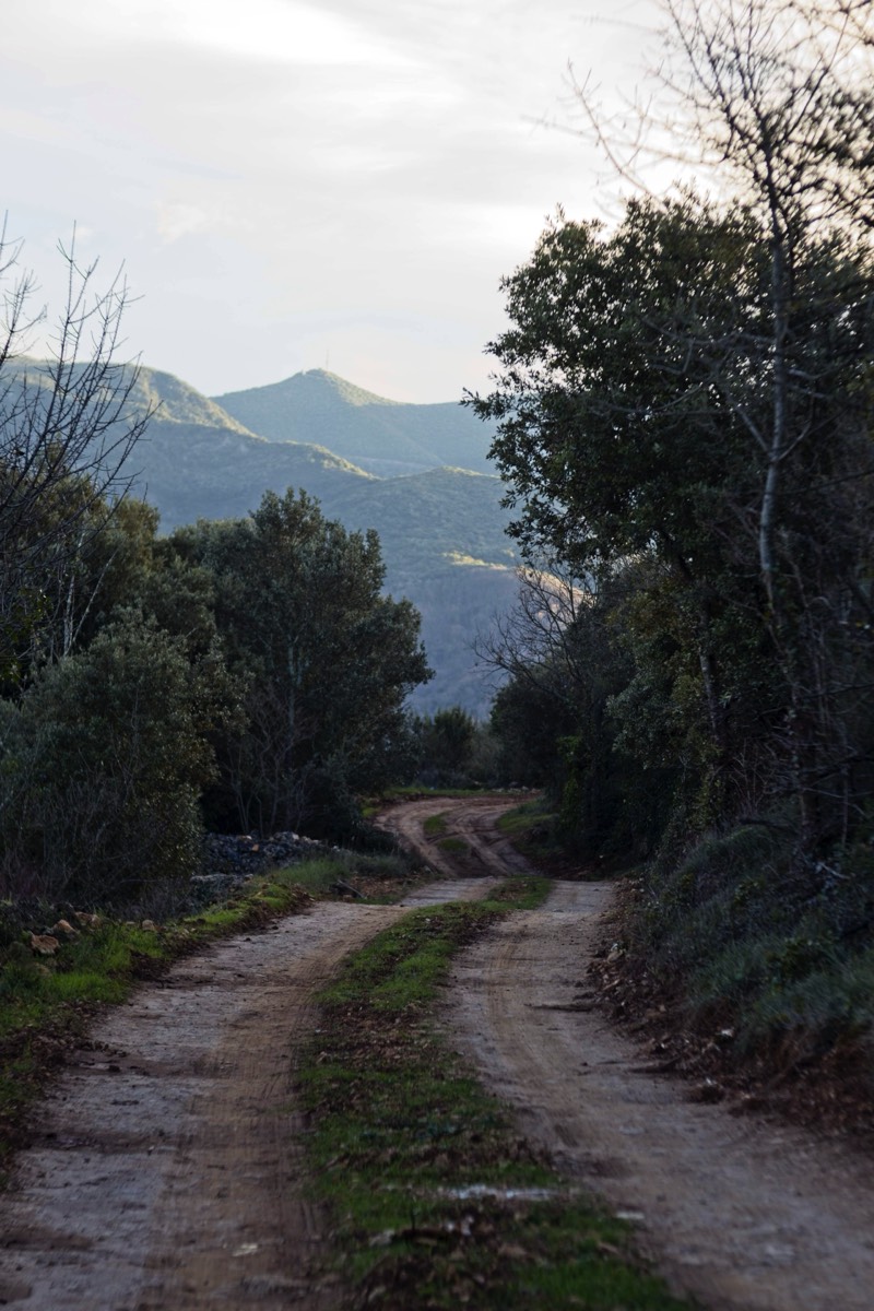 Series of images taken by Steve Cushing on Meyer-Optik Görlitz Diaplan 80mm f2.8 and mirrorless camera using old lens and homemade adapter. 