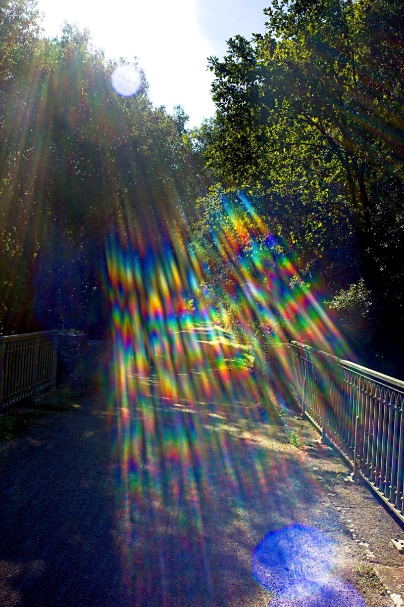 Series of images taken by Steve Cushing on Noflexar 35 f3.5 Macro and mirrorless camera using old lens and homemade adapter. 