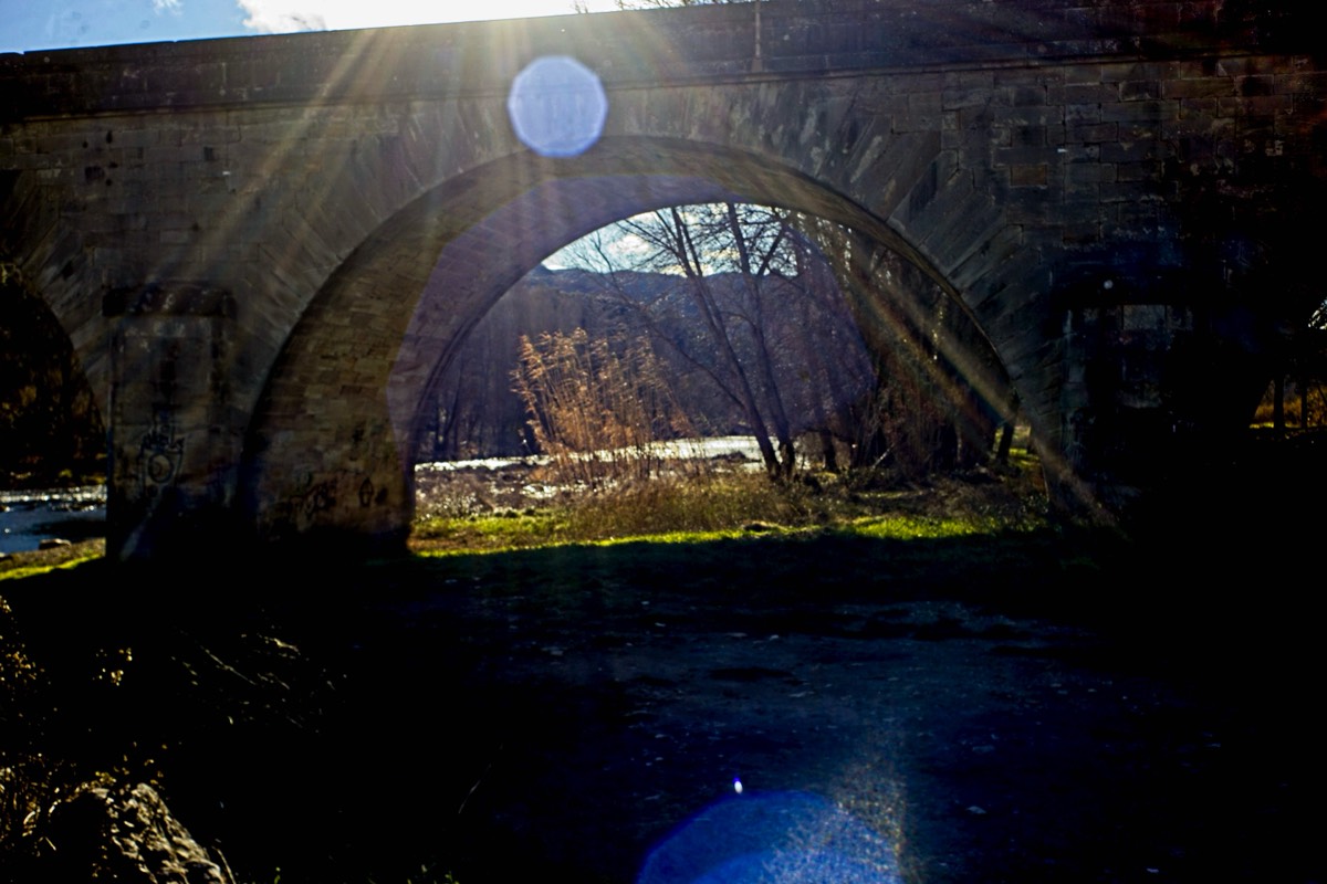 Series of images taken by Steve Cushing on Noflexar 35 f3.5 Macro and mirrorless camera using old lens and homemade adapter. 