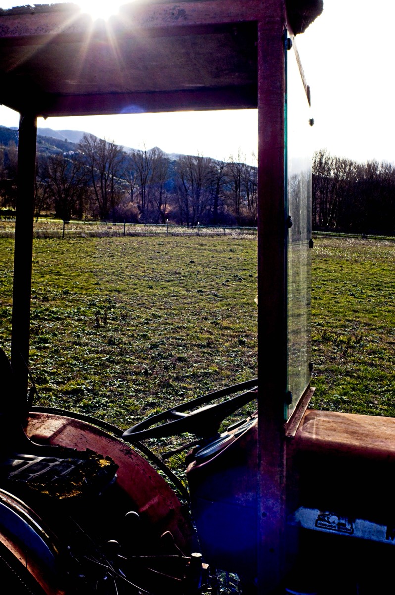 Series of images taken by Steve Cushing on Noflexar 35 f3.5 Macro and mirrorless camera using old lens and homemade adapter. 