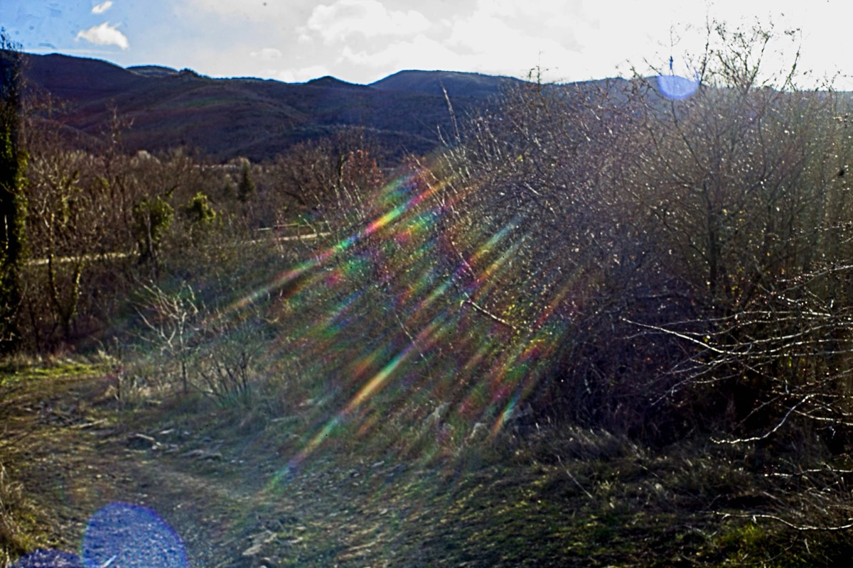 Series of images taken by Steve Cushing on Noflexar 35 f3.5 Macro and mirrorless camera using old lens and homemade adapter. 