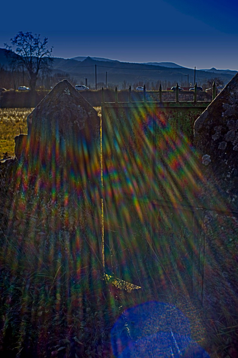 Series of images taken by Steve Cushing on Noflexar 35 f3.5 Macro and mirrorless camera using old lens and homemade adapter. 