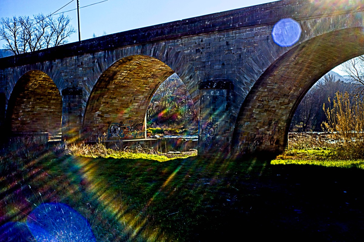 Series of images taken by Steve Cushing on Noflexar 35 f3.5 Macro and mirrorless camera using old lens and homemade adapter. 