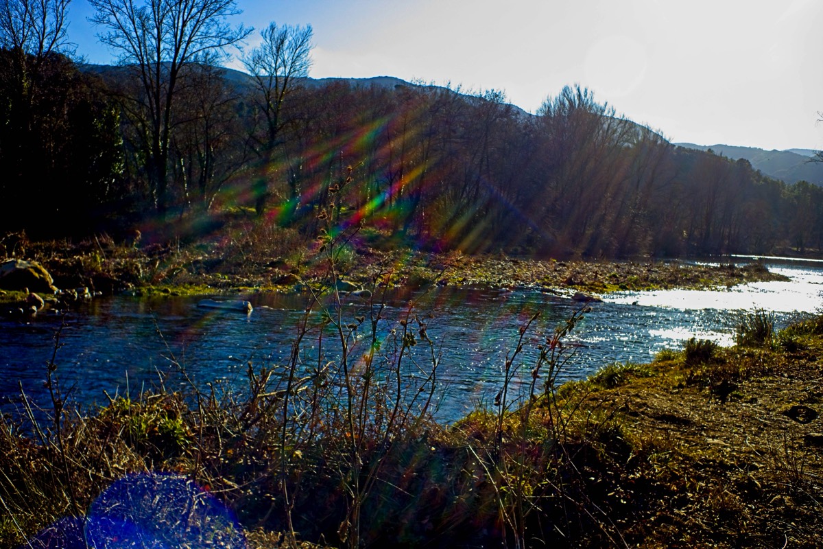 Series of images taken by Steve Cushing on Noflexar 35 f3.5 Macro and mirrorless camera using old lens and homemade adapter. 