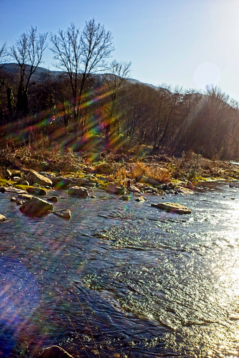 Series of images taken by Steve Cushing on Noflexar 35 f3.5 Macro and mirrorless camera using old lens and homemade adapter. 