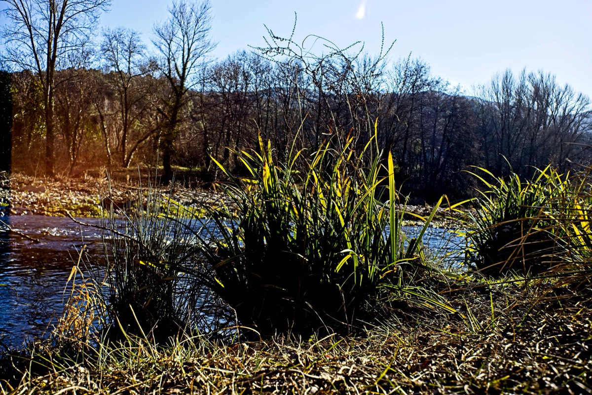 Series of images taken by Steve Cushing on Noflexar 35 f3.5 Macro and mirrorless camera using old lens and homemade adapter. 