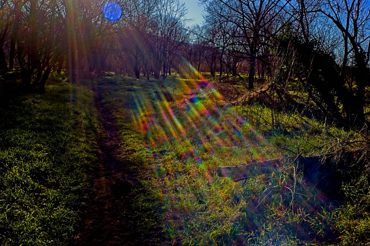 Series of images taken by Steve Cushing on Noflexar 35 f3.5 Macro and mirrorless camera using old lens and homemade adapter. 