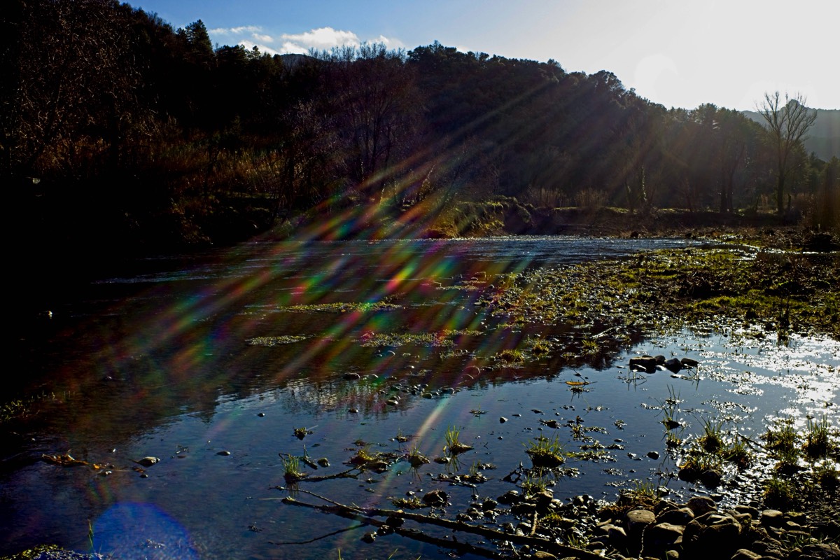 Series of images taken by Steve Cushing on Noflexar 35 f3.5 Macro and mirrorless camera using old lens and homemade adapter. 