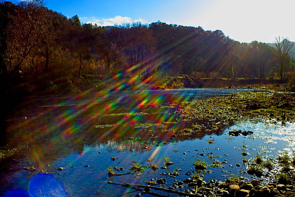 Series of images taken by Steve Cushing on Noflexar 35 f3.5 Macro and mirrorless camera using old lens and homemade adapter. 