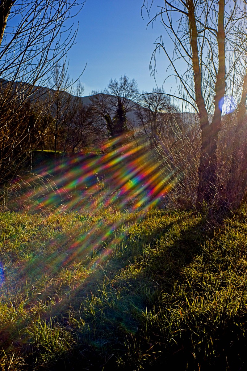 Series of images taken by Steve Cushing on Noflexar 35 f3.5 Macro and mirrorless camera using old lens and homemade adapter. 