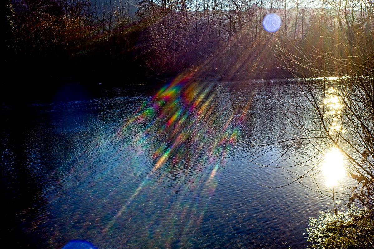 Series of images taken by Steve Cushing on Noflexar 35 f3.5 Macro and mirrorless camera using old lens and homemade adapter. 