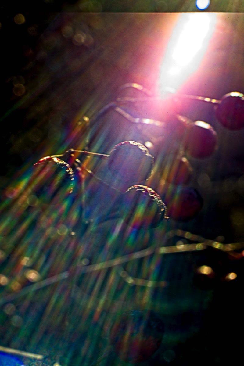 Series of images taken by Steve Cushing on Noflexar 35 f3.5 Macro and mirrorless camera using old lens and homemade adapter. 